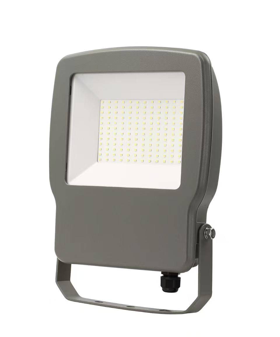 LED Flood Light ZY-2083-100W