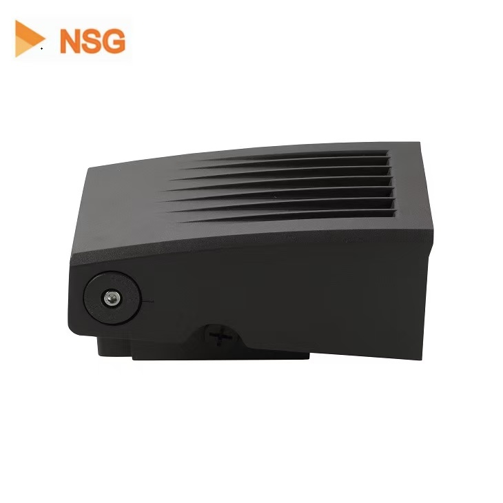 ZY-3011-60W Wallpack
