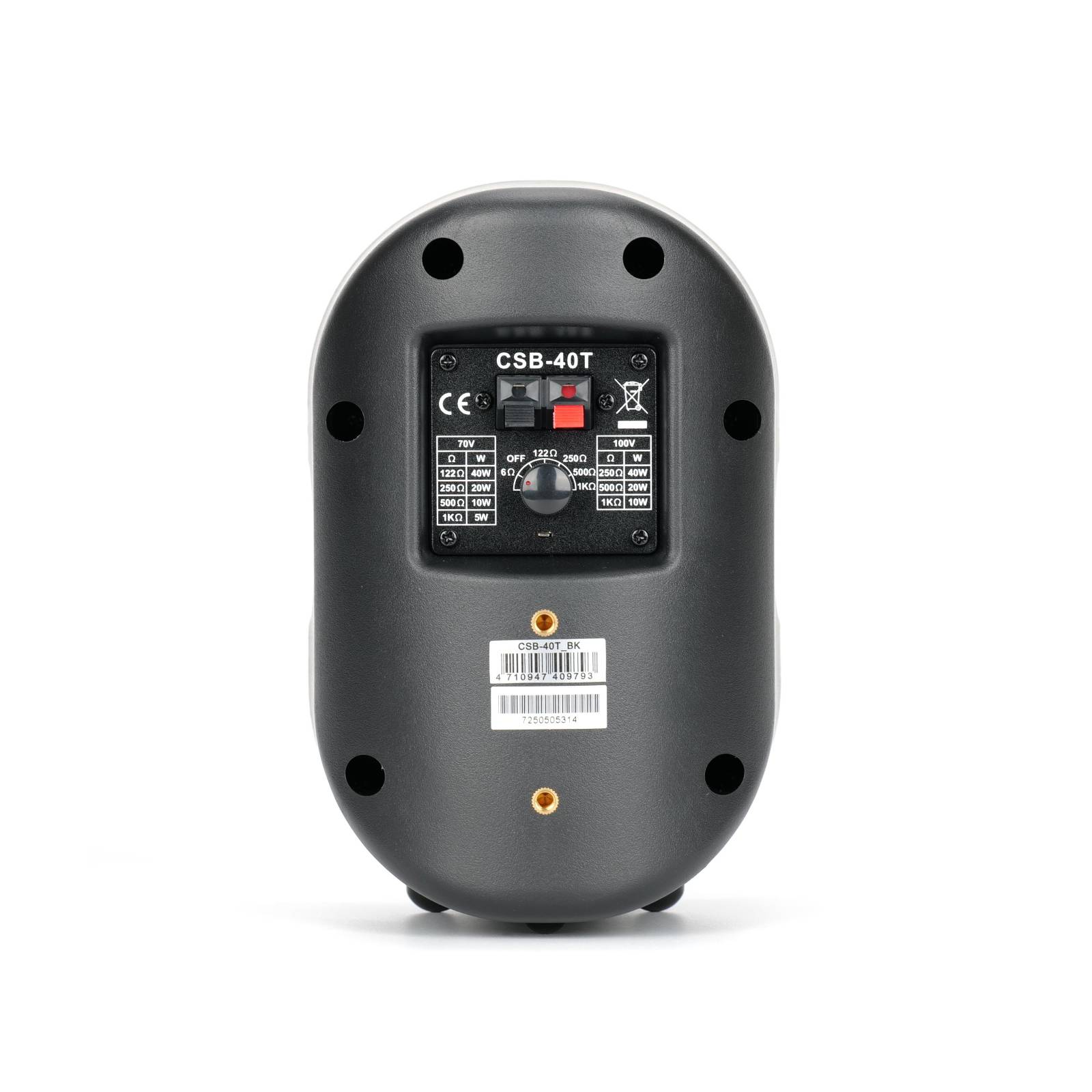 CSB40T 40W Wall Mount Speaker - Image 2